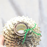 Shimano 105 5700 CS-5700 10 Speed Cassette 11-28t, Nice