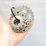 Shimano CS-6600 Hyperglide 11-23 10 Speed Cassette, EXC++